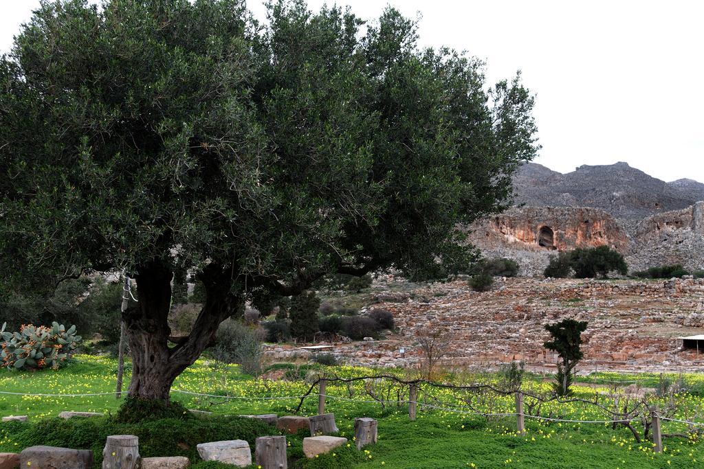 Villa Kalliopi Ιncreteble Cretan Resindences Collection Xerokampos  Exterior photo