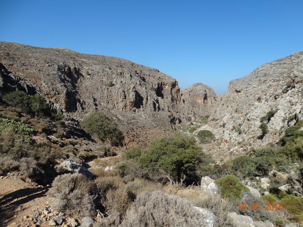 Villa Kalliopi Ιncreteble Cretan Resindences Collection Xerokampos  Exterior photo