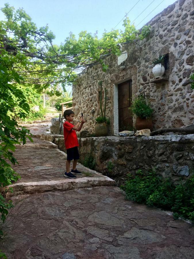 Villa Kalliopi Ιncreteble Cretan Resindences Collection Xerokampos  Exterior photo